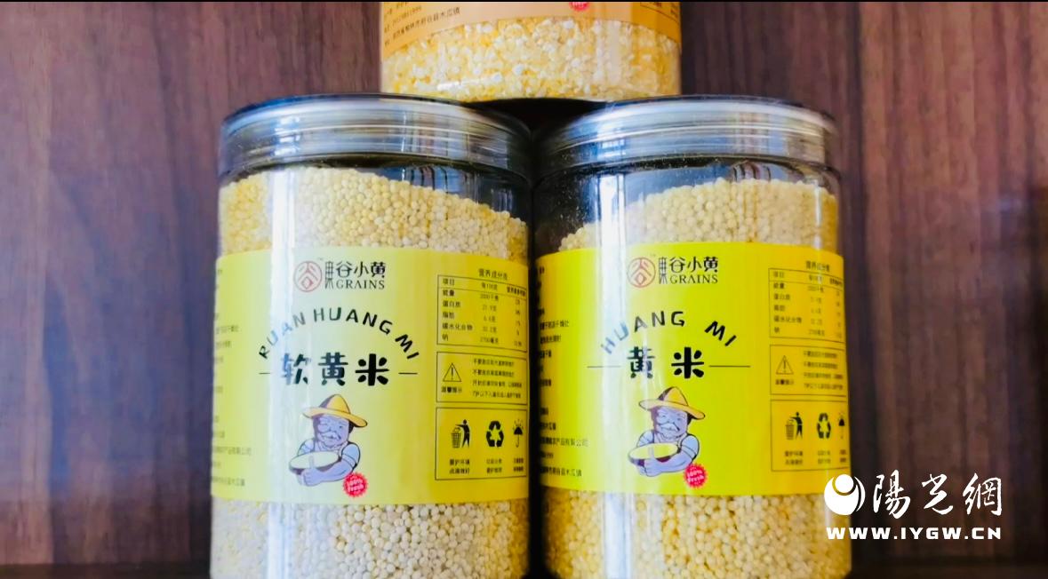 府谷:粒粒"黄金米"藏着"致富经"