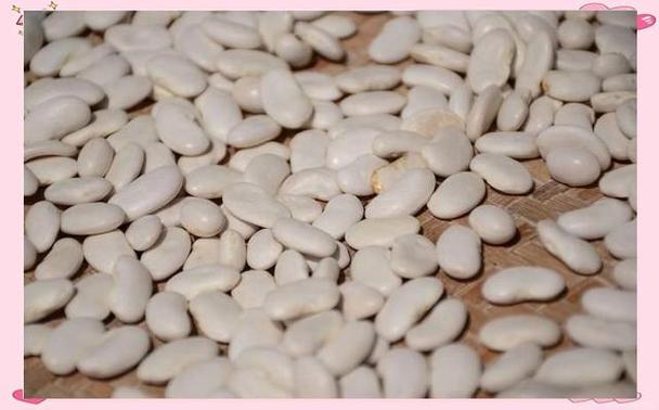 豆类,这一广泛的食材范畴,涵盖了众多品种,如大豆,蚕豆,绿豆,豌豆