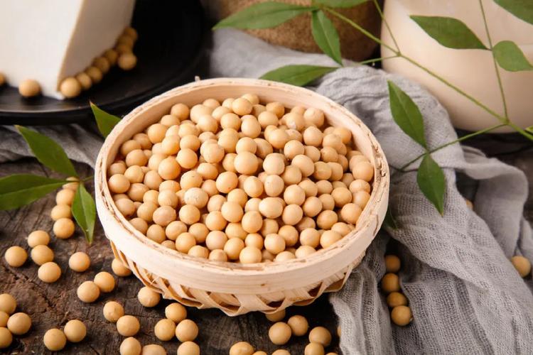 秋吃豆胜吃肉常吃6种豆类预防6种疾病
